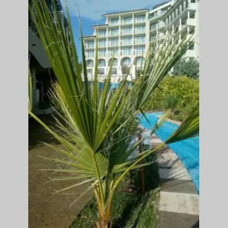 Apartamento At 
